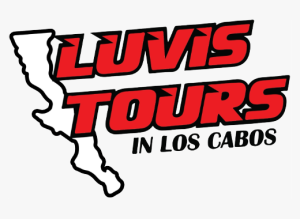 logo_luvis_tours